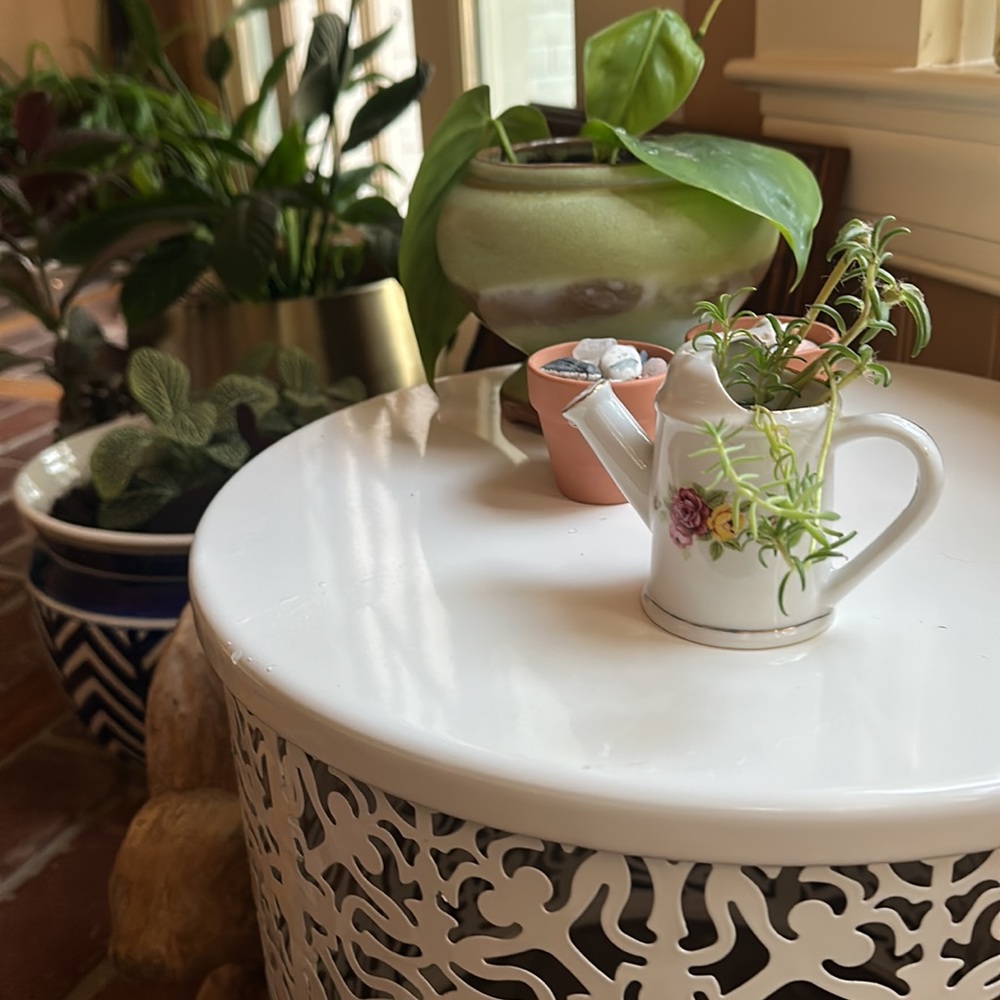 Tiny 🌱 Pitcher
